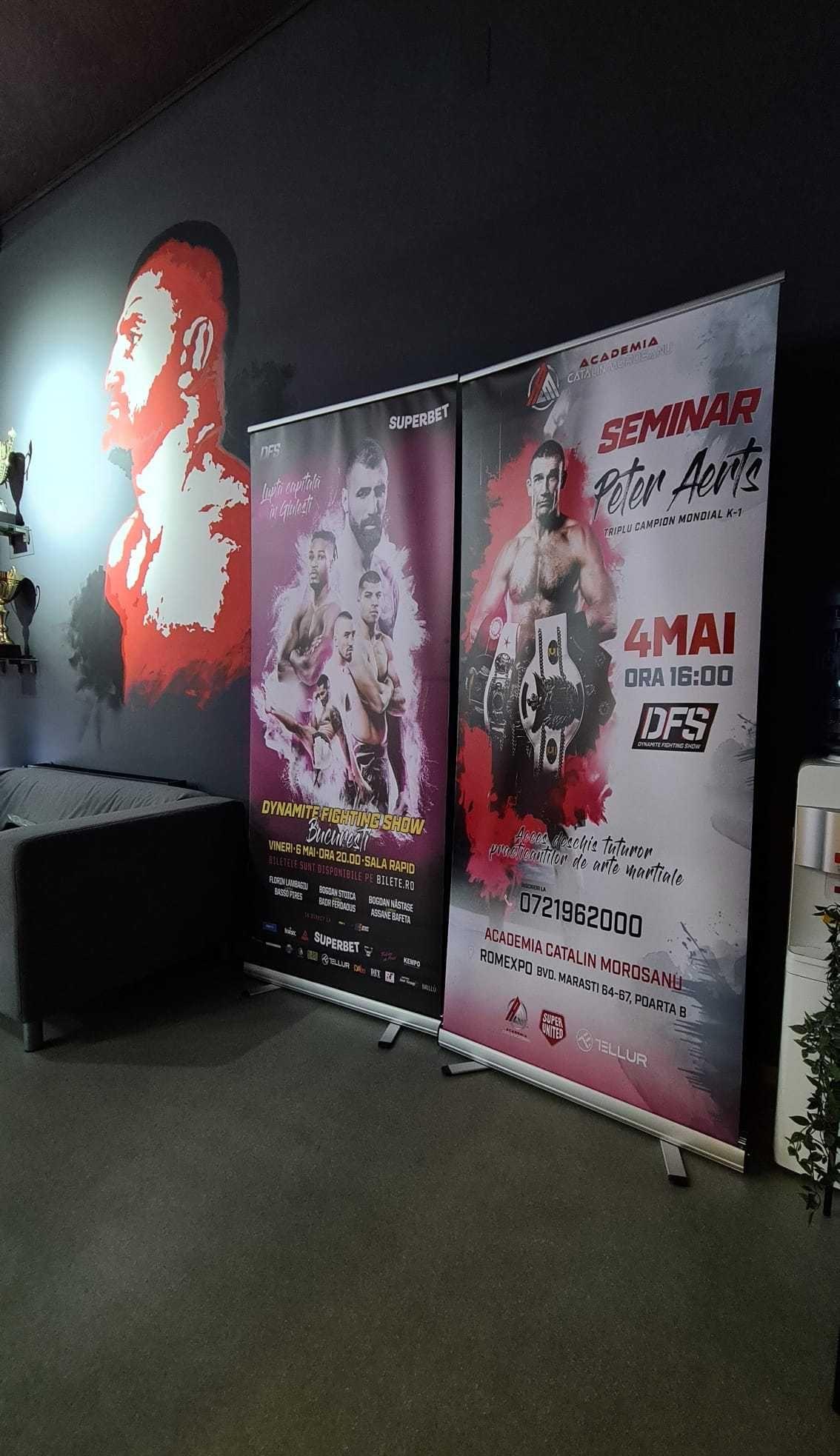 Sistem Roll-Up 85x200 cm