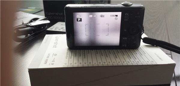 Sony CyberShot Dsc wx100