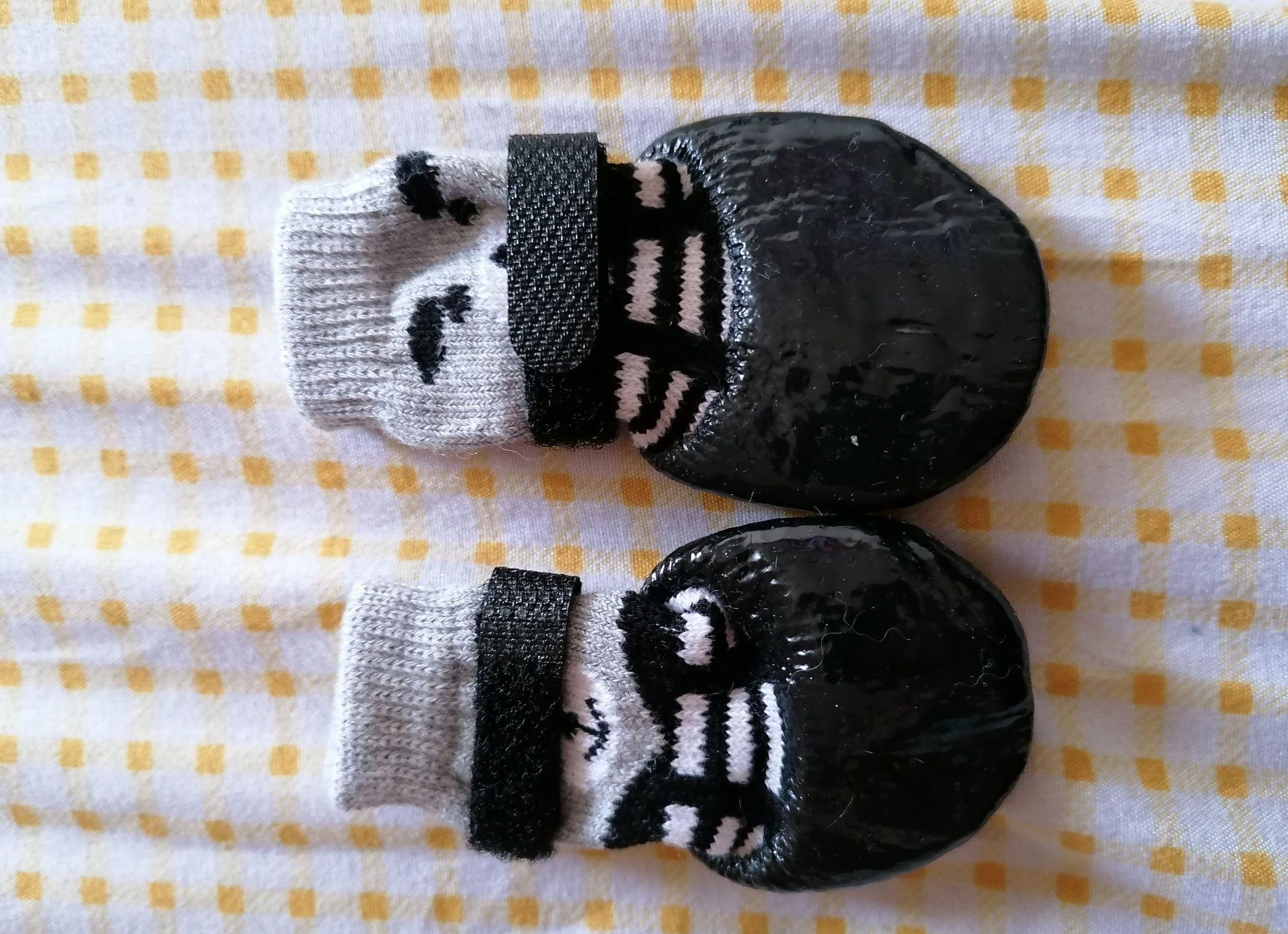 Șosete câini și pisici