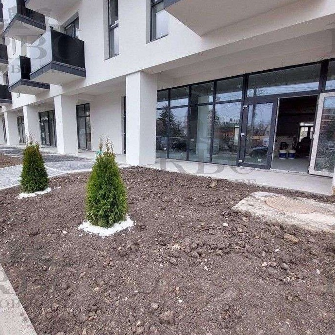 Spatiu comercial 283 mp cu vitrina la strada, open space Dambu Rotund