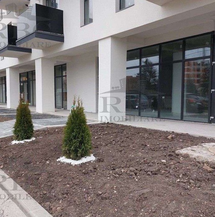 Spatiu comercial 283 mp cu vitrina la strada, open space Dambu Rotund