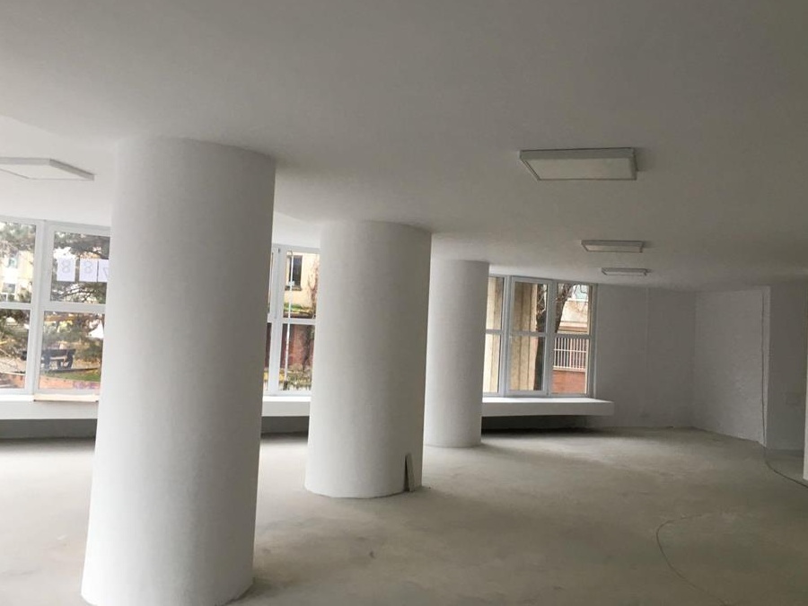 Spatiu comercial Arcadia