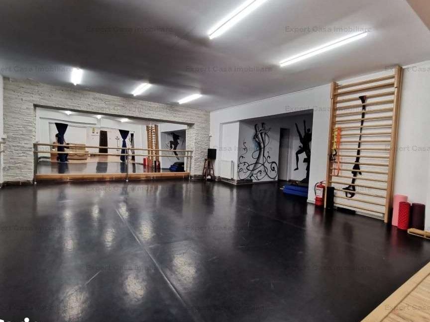 Spatiu Comercial Nicolina Belvedere