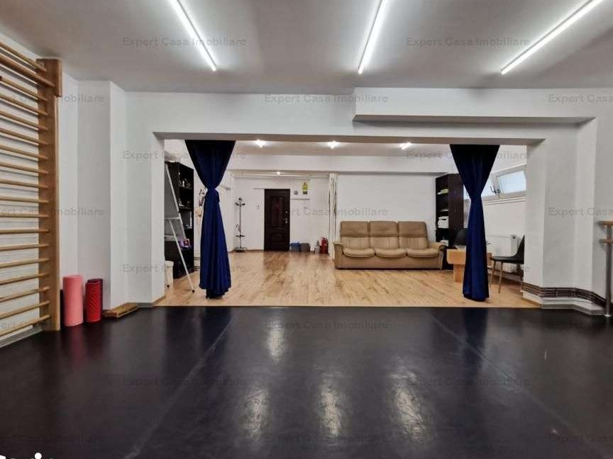 Spatiu Comercial Nicolina Belvedere
