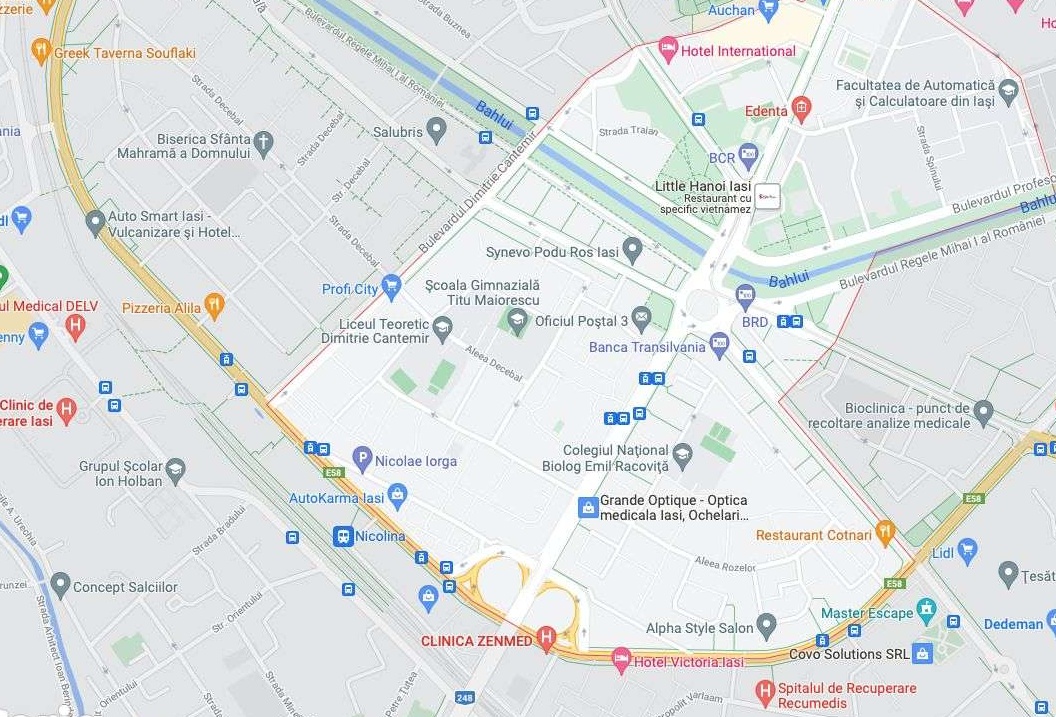 Spatiu comercial, Nicolina, prima statie din Podul Ros pe esplanada,