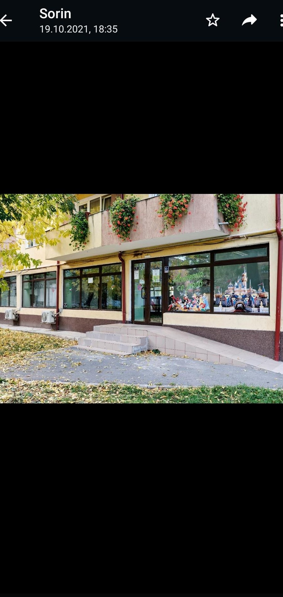 Spatiu comercial ultracentral Hunedoara , Pietonala