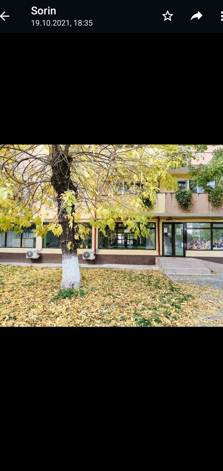Spatiu comercial ultracentral Hunedoara , Pietonala