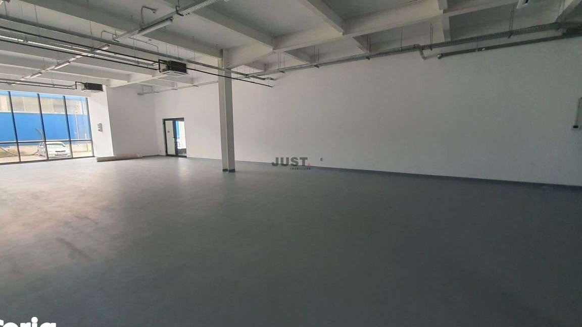 Spatiu comercial/depozitare/showroom/productie, 283.89 mp, Someseni
