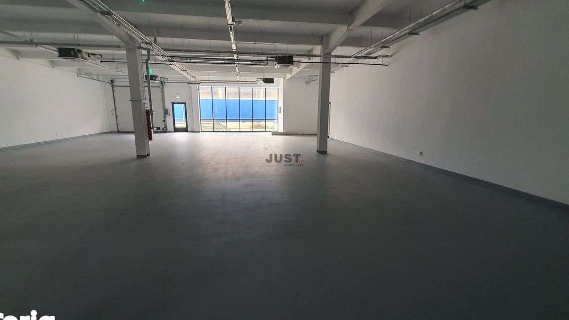 Spatiu comercial/depozitare/showroom/productie, 283.89 mp, Someseni