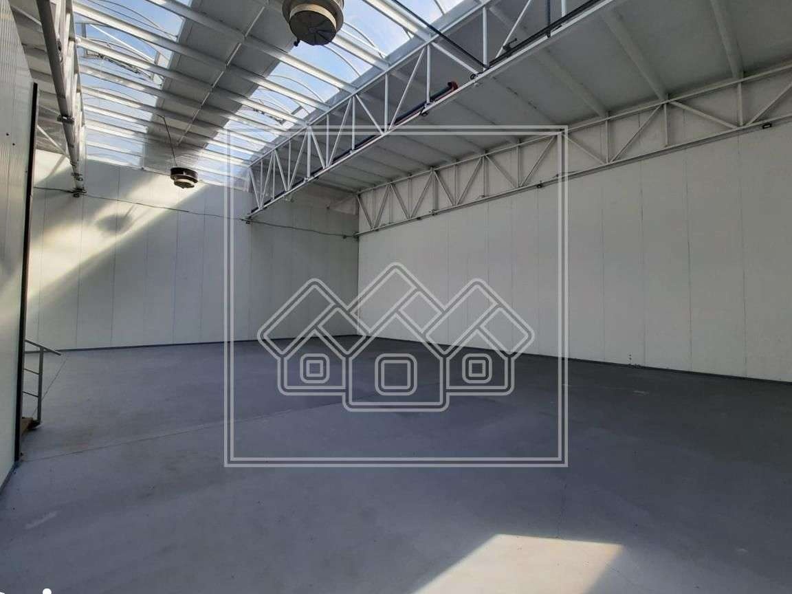 Spatiu industrial - 300 mp-teren 500mp - Sura Mare