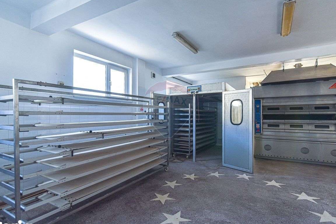 Spațiu industrial Fabrica de panificatie de vanzare / de inchiriere