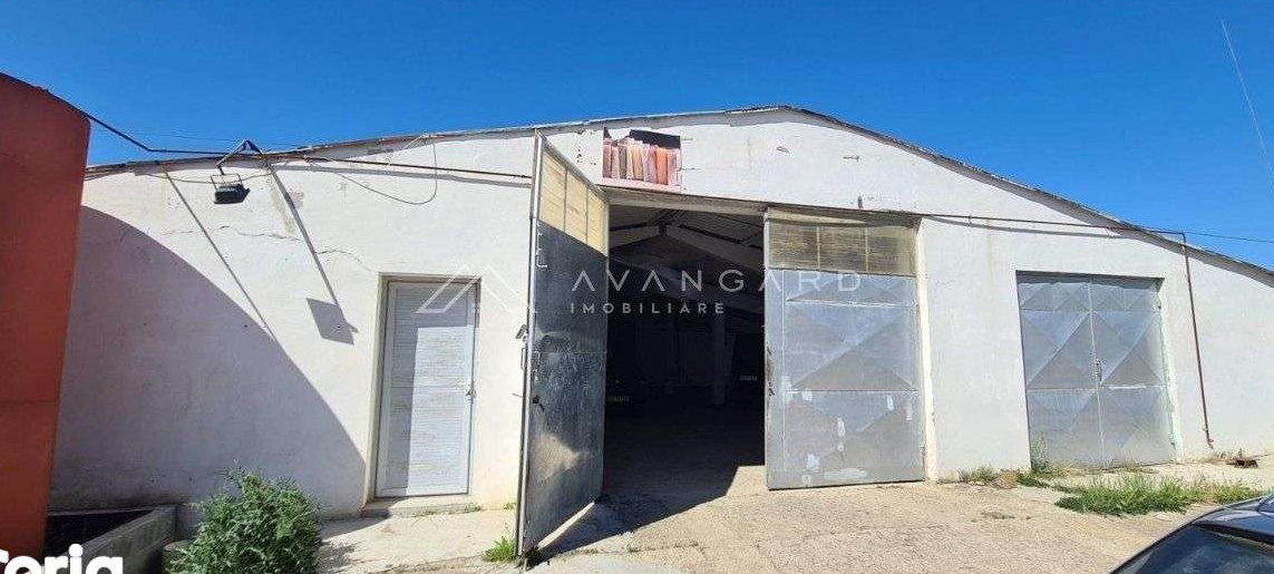 Spatiu Industrial/Hala | 1060 mp utili | Oiejdea (Alba)
