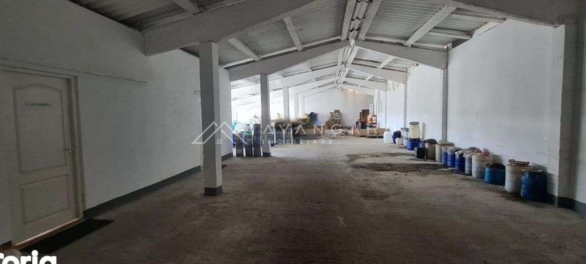 Spatiu Industrial/Hala | 1060 mp utili | Oiejdea (Alba)