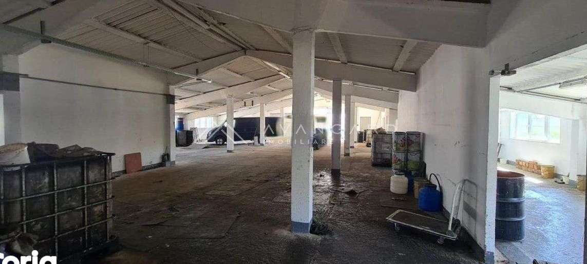 Spatiu Industrial/Hala | 1060 mp utili | Oiejdea (Alba)
