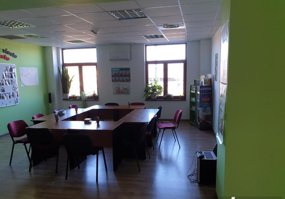 Spatiu pentru birou, Badea Cartan!