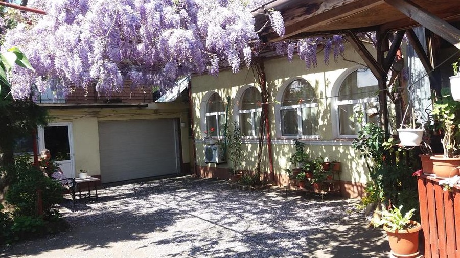 Spitalul Fundeni, Casa de vanzare cu gradina/curte si garaj