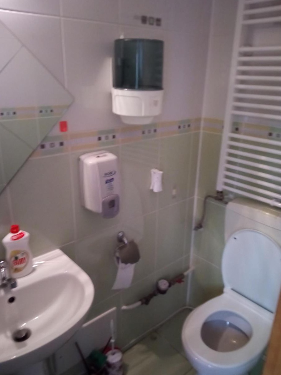 sptiu comercial de vanzare sau inchiriere