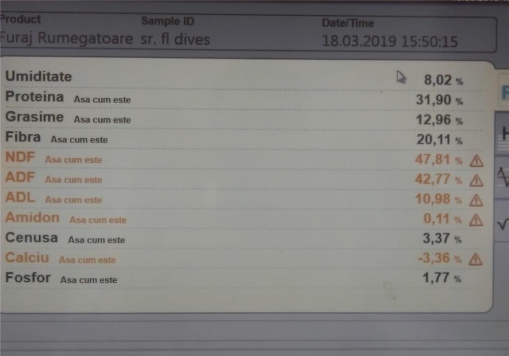 SROT DE FLOAREA SOARELUI IDEAL PENTRU BALTI DE PESCUIT
