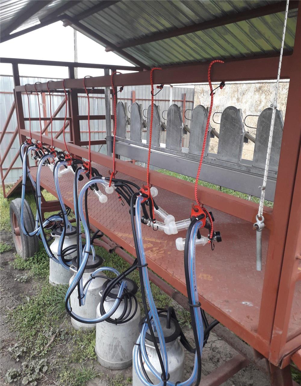 Stand de muls oi 1x8