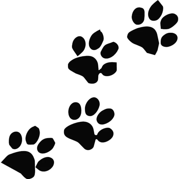Sticker auto "Urme de labute animal'', 13x13cm, Negru