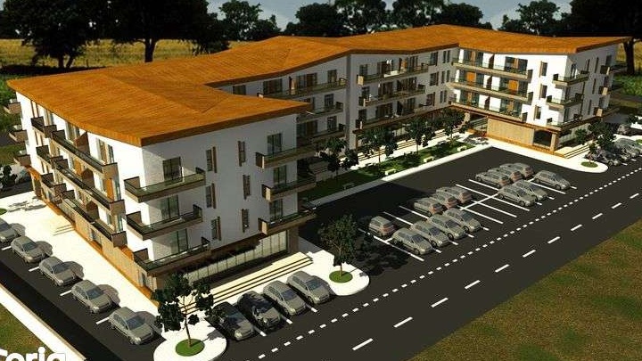 Studio Zona Ford Capsunarie 45000 euro