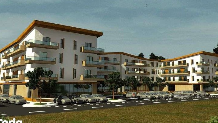 Studio Zona Ford Capsunarie 45000 euro