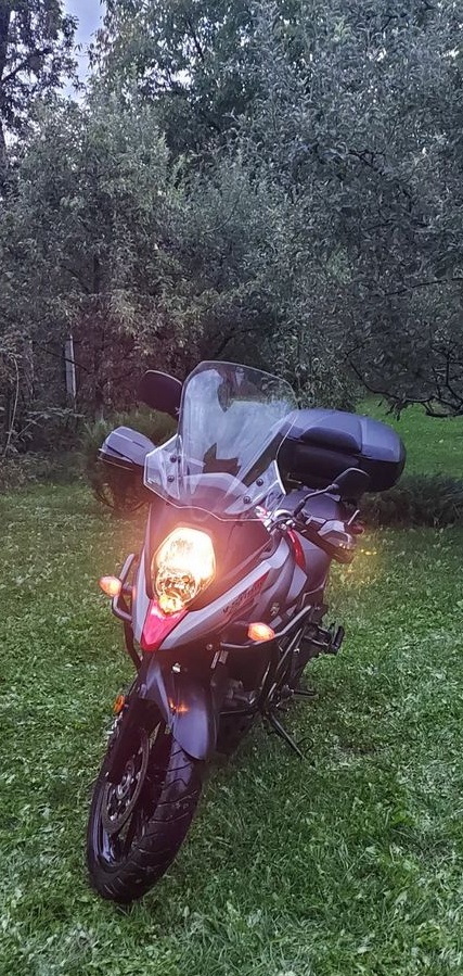 Suzuki DL