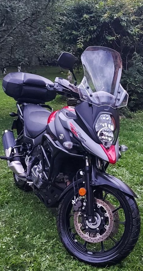 Suzuki DL