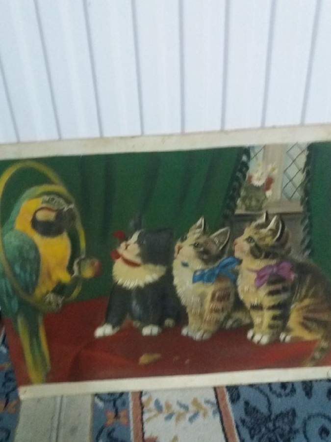 Tablouri 6 bucati 100 de euro bucata