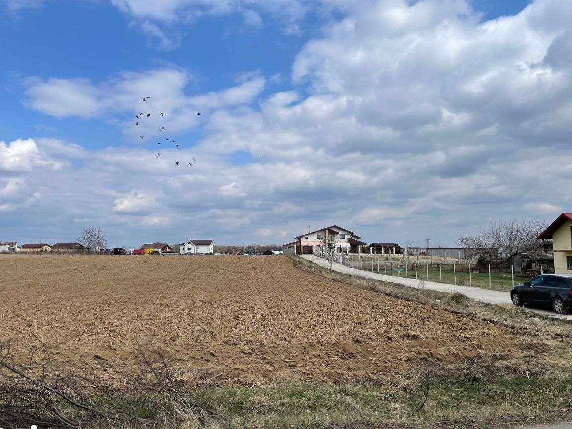 Targoviste - Priseaca