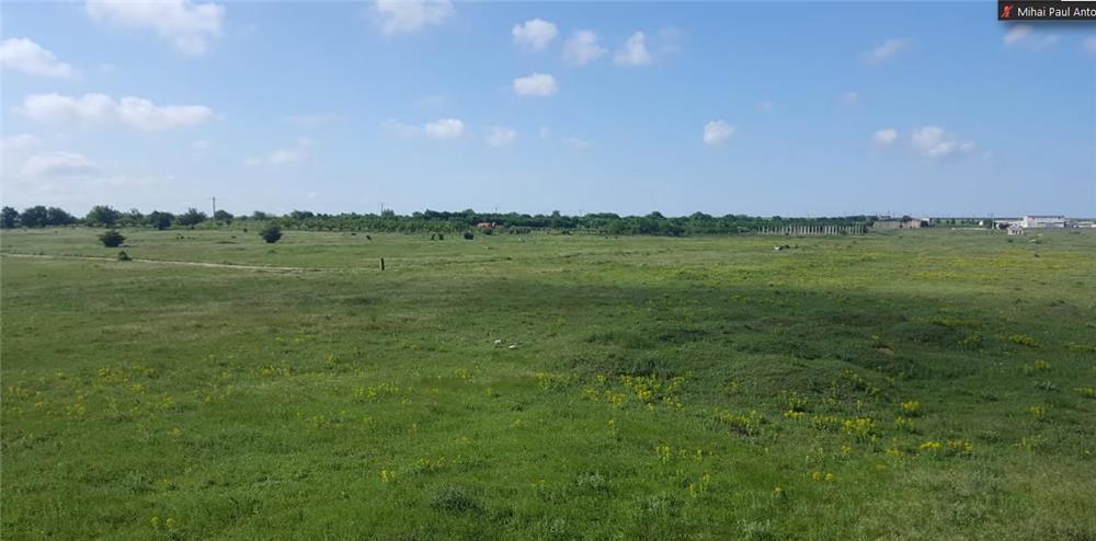 Teren 1000mp Intravilan Mangalia- Lac Limanu