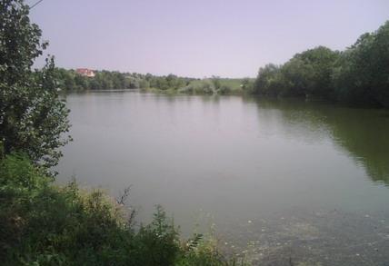 Teren 10400mp deschidere lac 140 m intravilan com Maia la 35km de Bucuresti