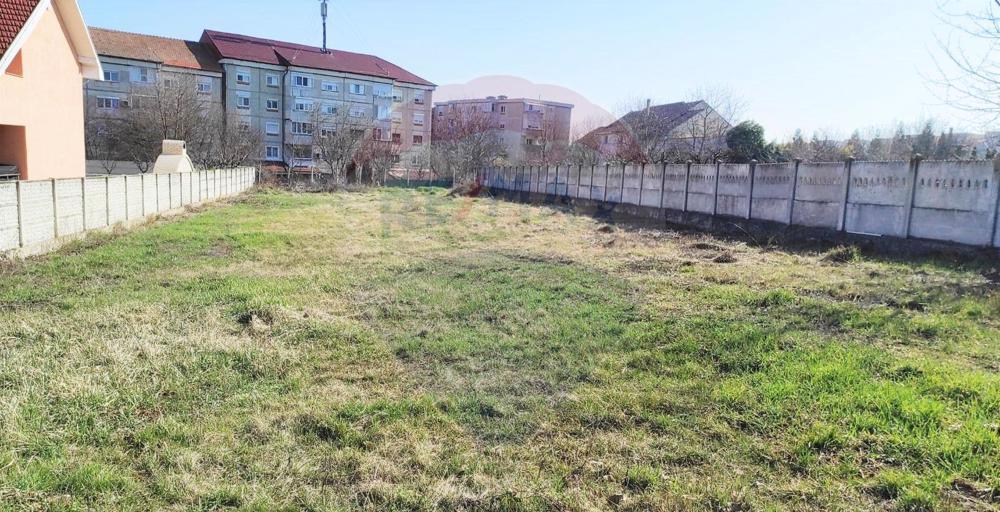 Teren 1,161mp Sanmartin / Strada Petru ispirescu