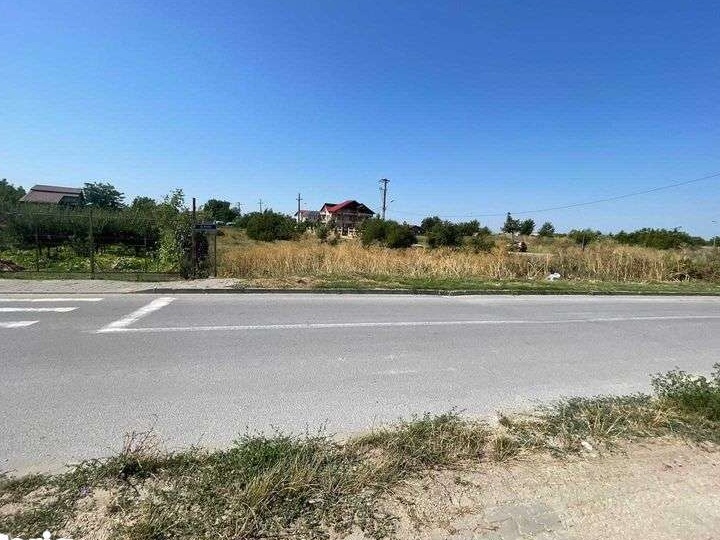 Teren 1600m , intrarea in Rudeni din centura , front stradal 21,6 m,
