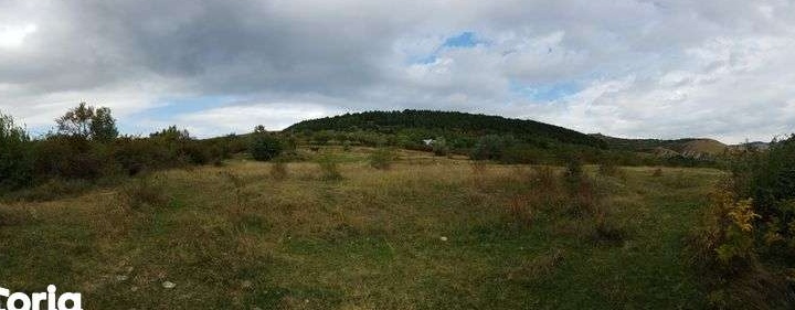 Teren 21000 metri² in centrul comunei Naeni, Jud. Buzau