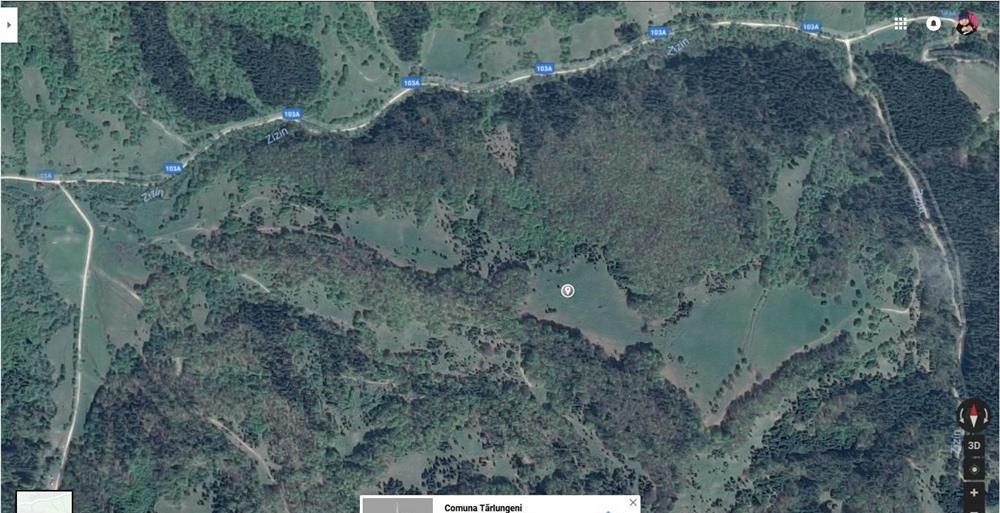teren_2,23ha_Brasov_Tarlungeni_Valea Zizinului_off grid living