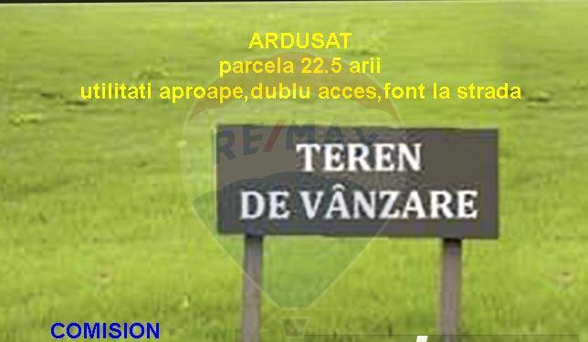 Teren 2,247mp Ardusat / Strada principala