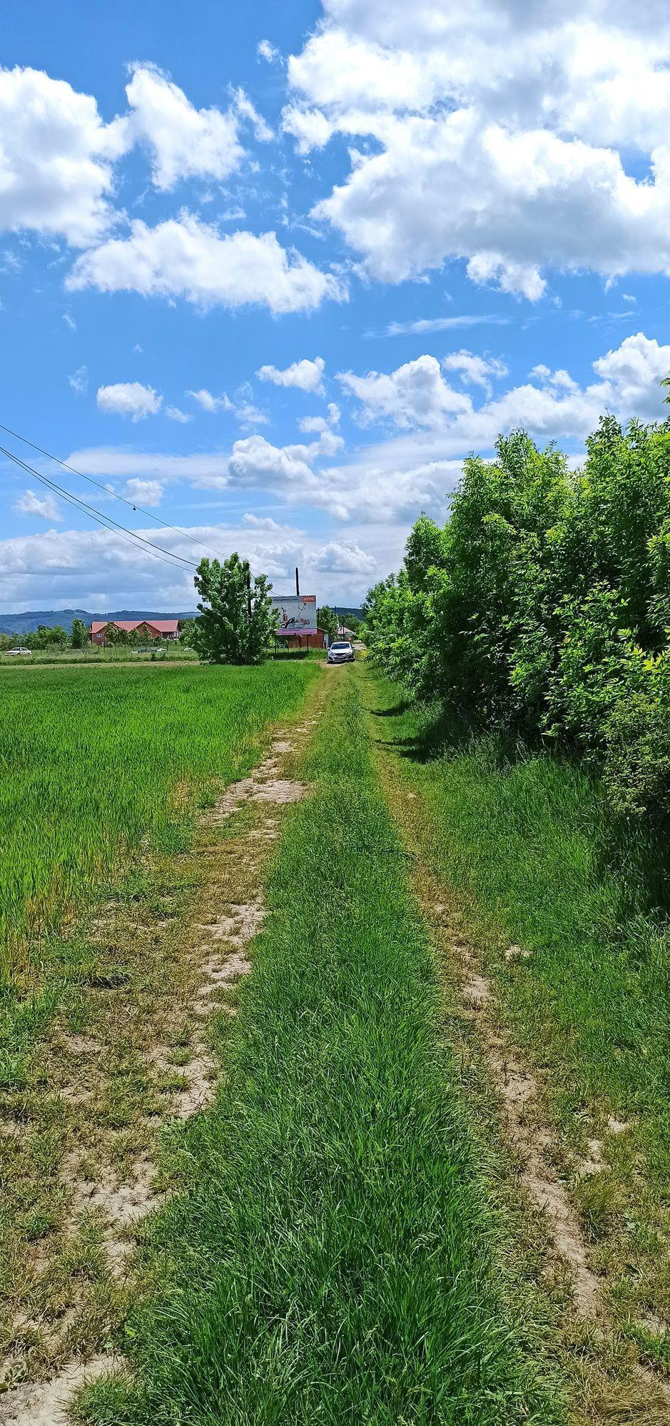 Teren 30 ari Somcuta Mare