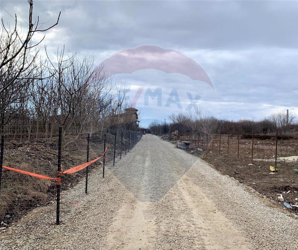 Teren 30,000mp Drumul Valea Doftanei, FARA COMISION