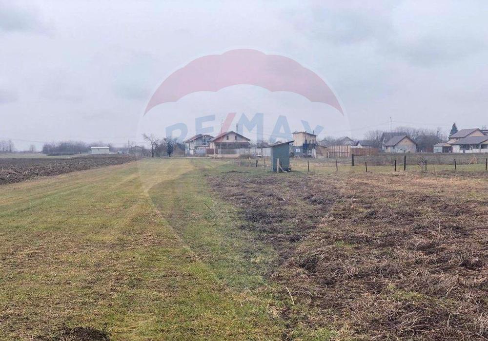 Teren 530mp Bolintin-Deal / Strada Doinei