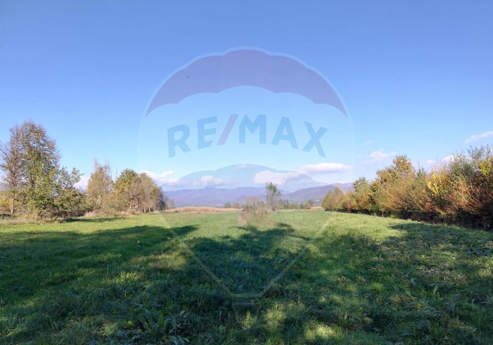 Teren 600mp Tautii-Magheraus / Strada Apa Sarata