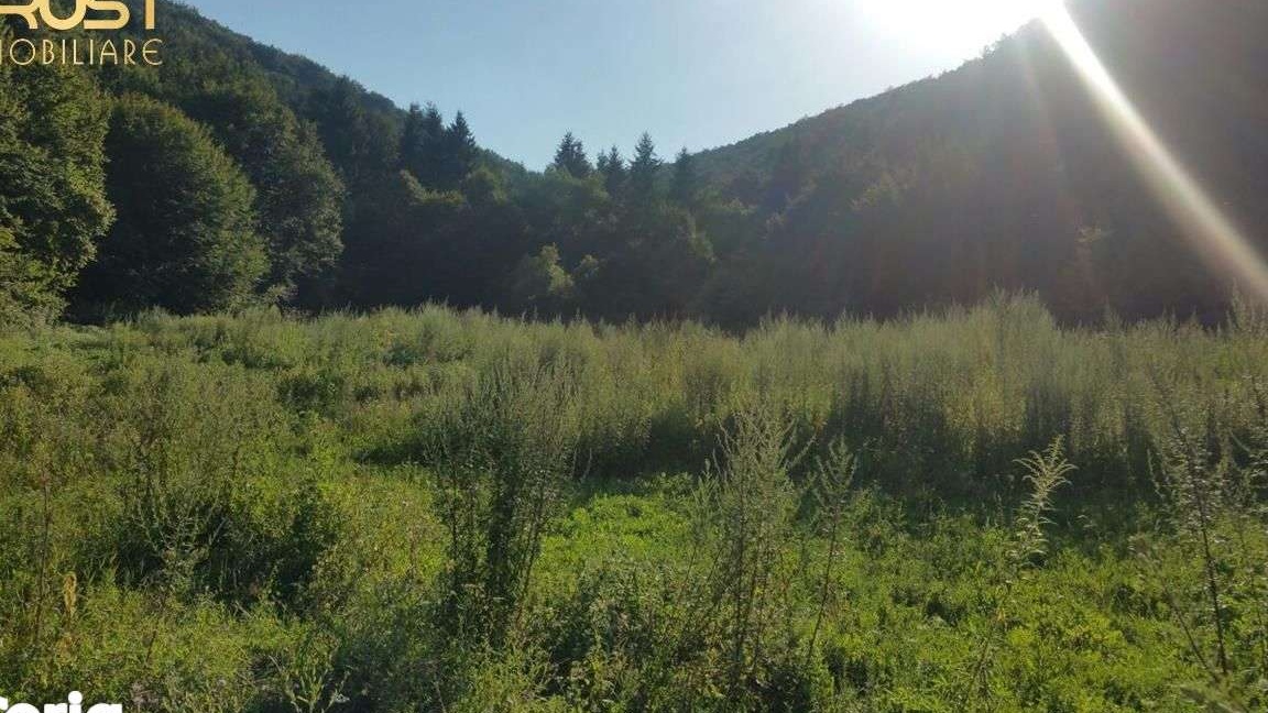 Teren 70 arii, extravilan, langa lac Saratel
