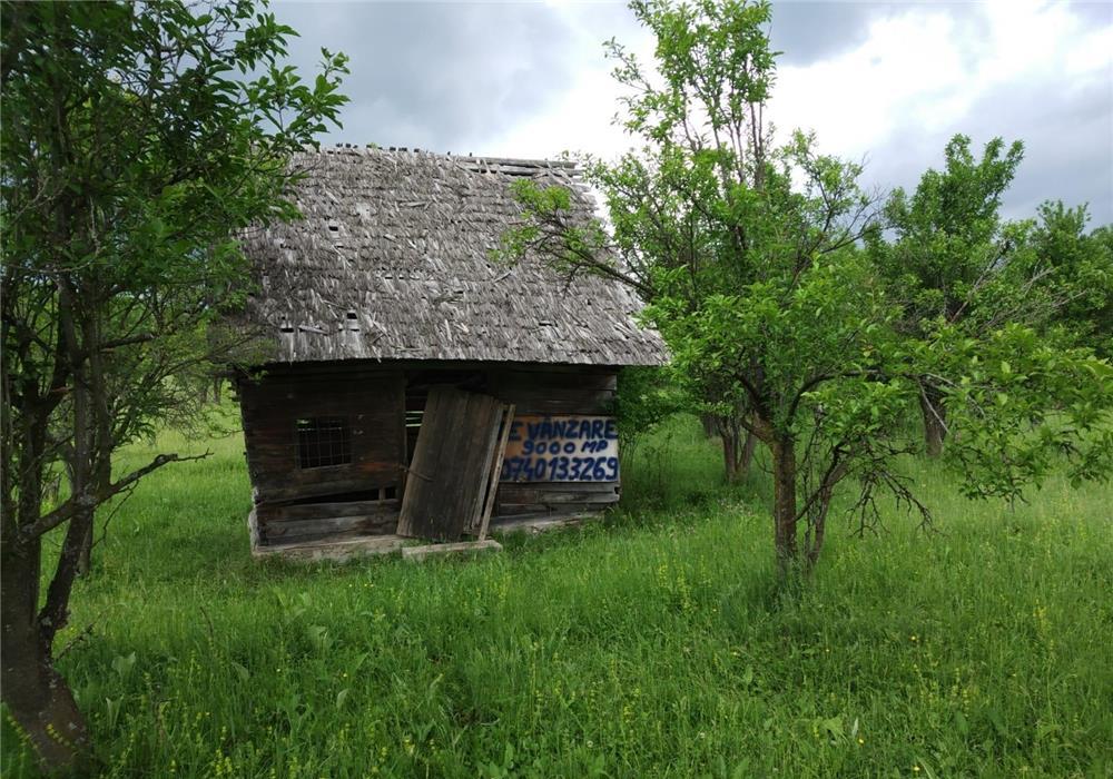 Teren 9000mp în comuna Mihăești, sat Drăghici, județul Argeș