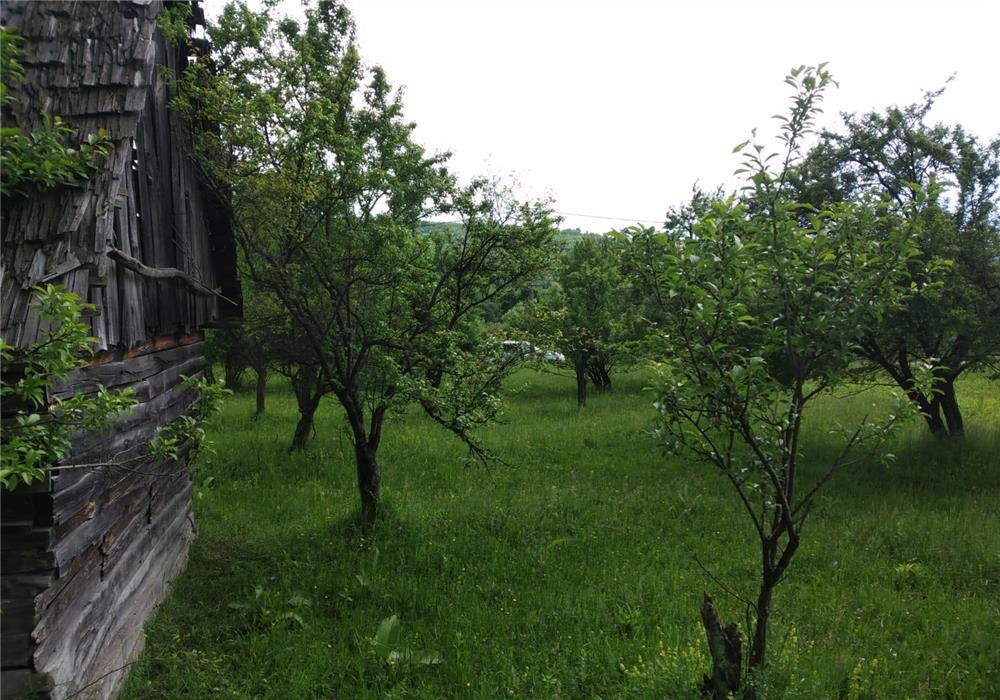 Teren 9000mp în comuna Mihăești, sat Drăghici, județul Argeș