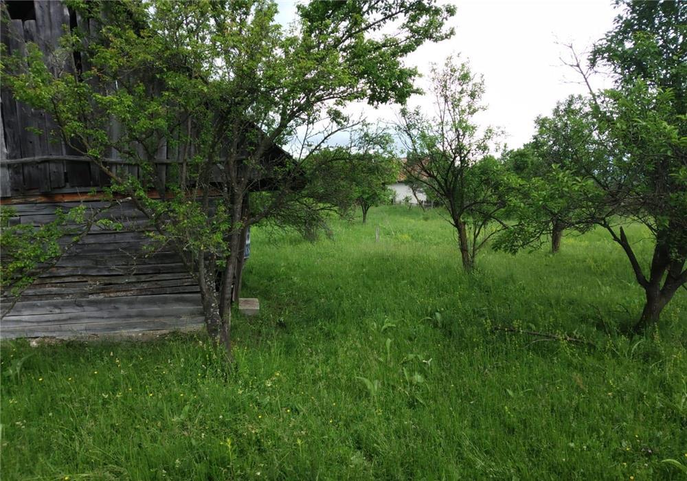 Teren 9000mp în comuna Mihăești, sat Drăghici, județul Argeș