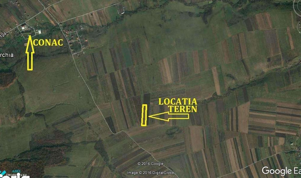 Teren arabil extravilan 2.954mp Archia