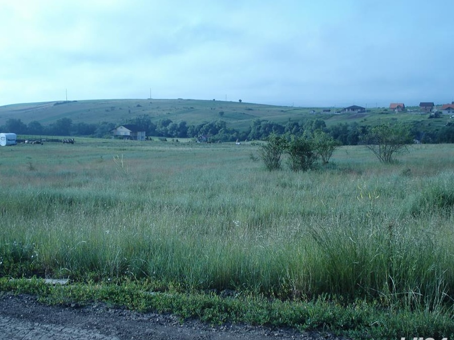 TEREN ARCHIA 2.2 HECTARE UTILITATI PARCELABIL