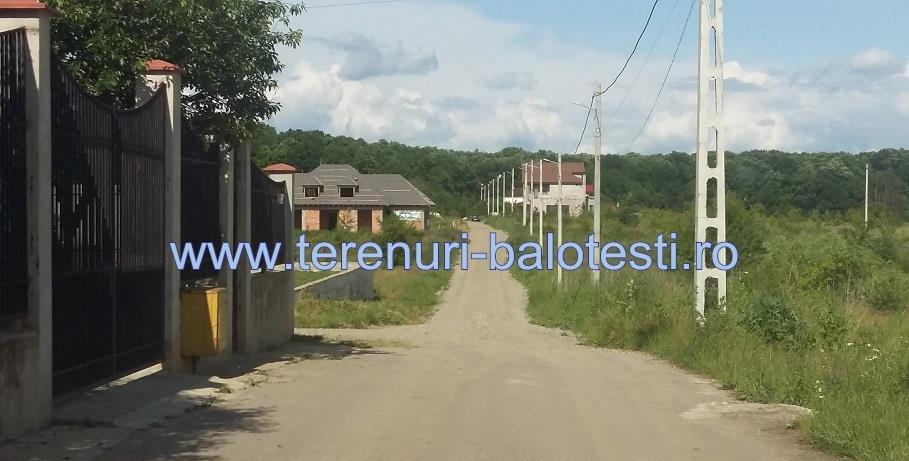 Teren Balotesti,3500 mp,la liziera padurii,149000 E