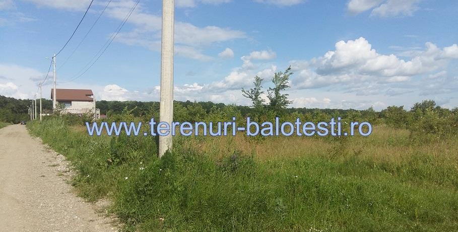 Teren Balotesti,3500 mp,la liziera padurii,149000 E