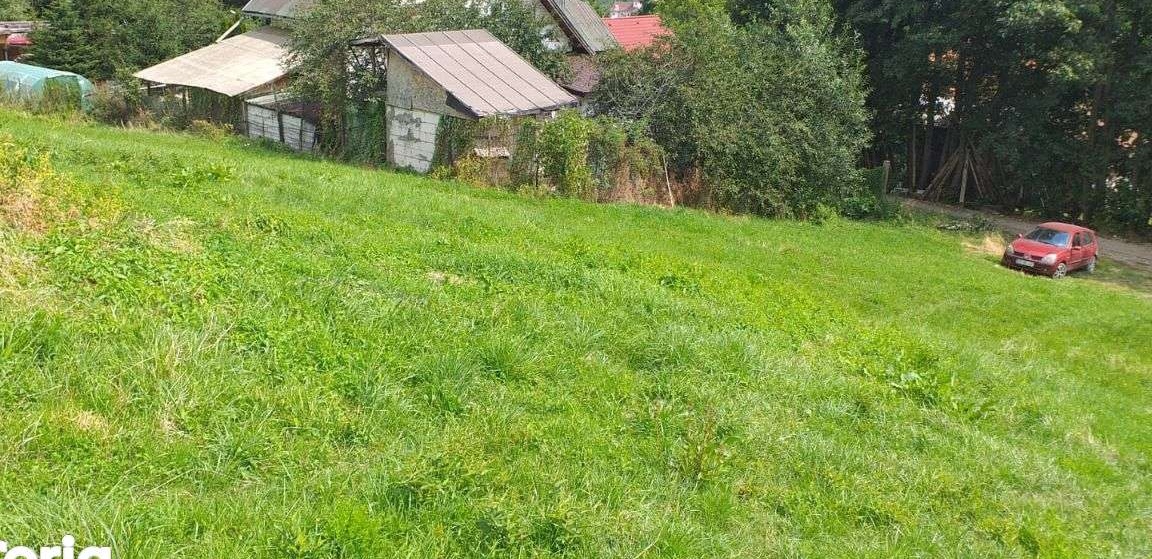 Teren Bran-Sochodol 2000 Mp Intravilan